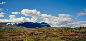 brimiland_01