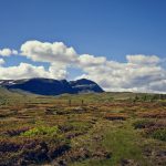 Brimiland_01